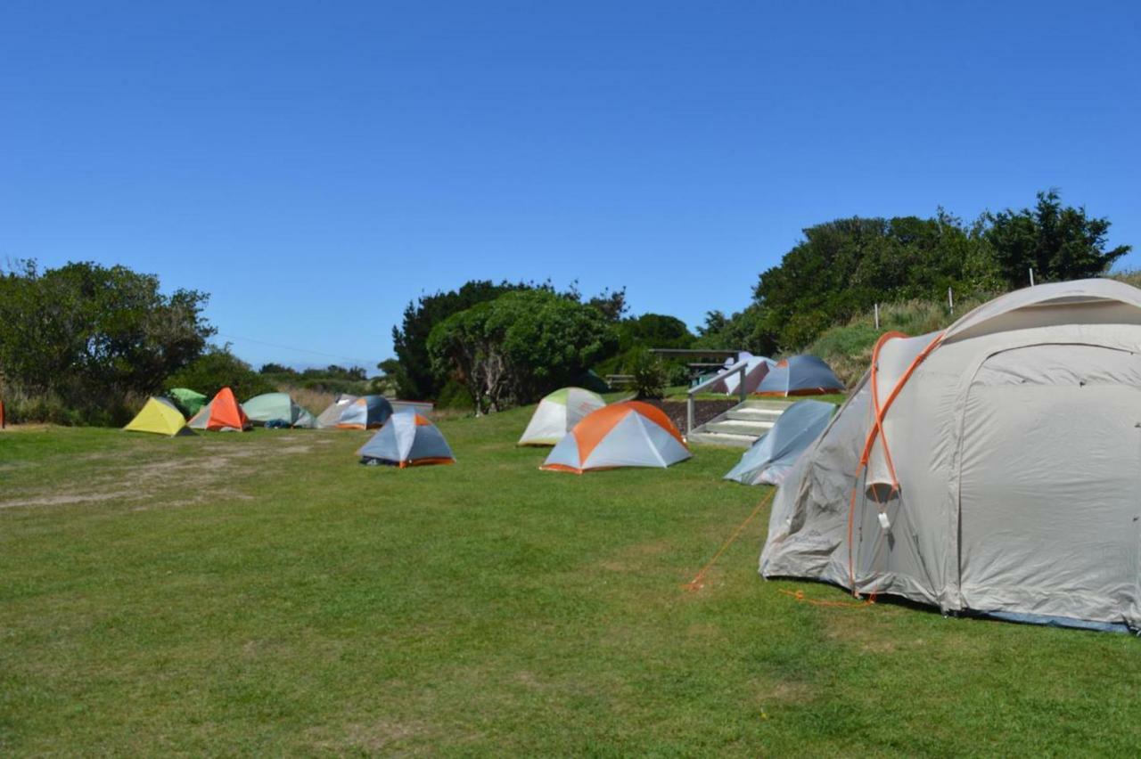 Dunedin Holiday Park Exterior foto